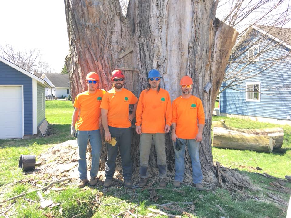 call wildcat creek tree service for your all your ethical tree care service needs