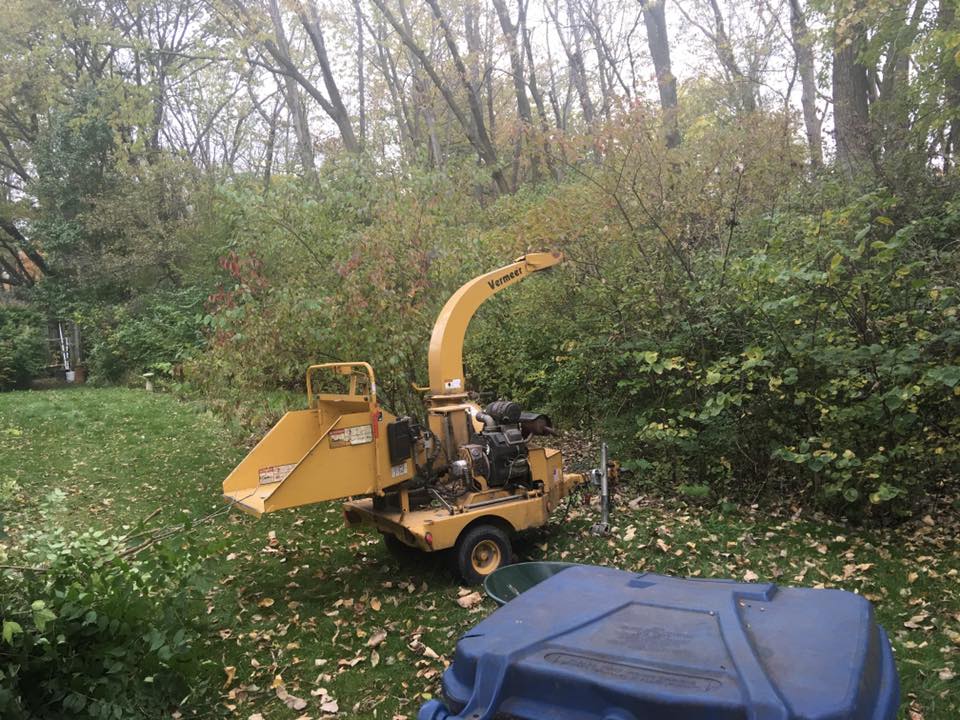 bush trimming & brush removal services by wildcat creek tree service in greater lafayette IN